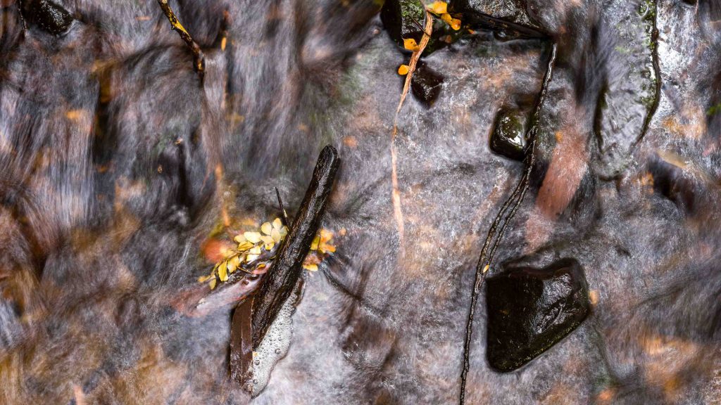 Water running amongst pebbles and branches