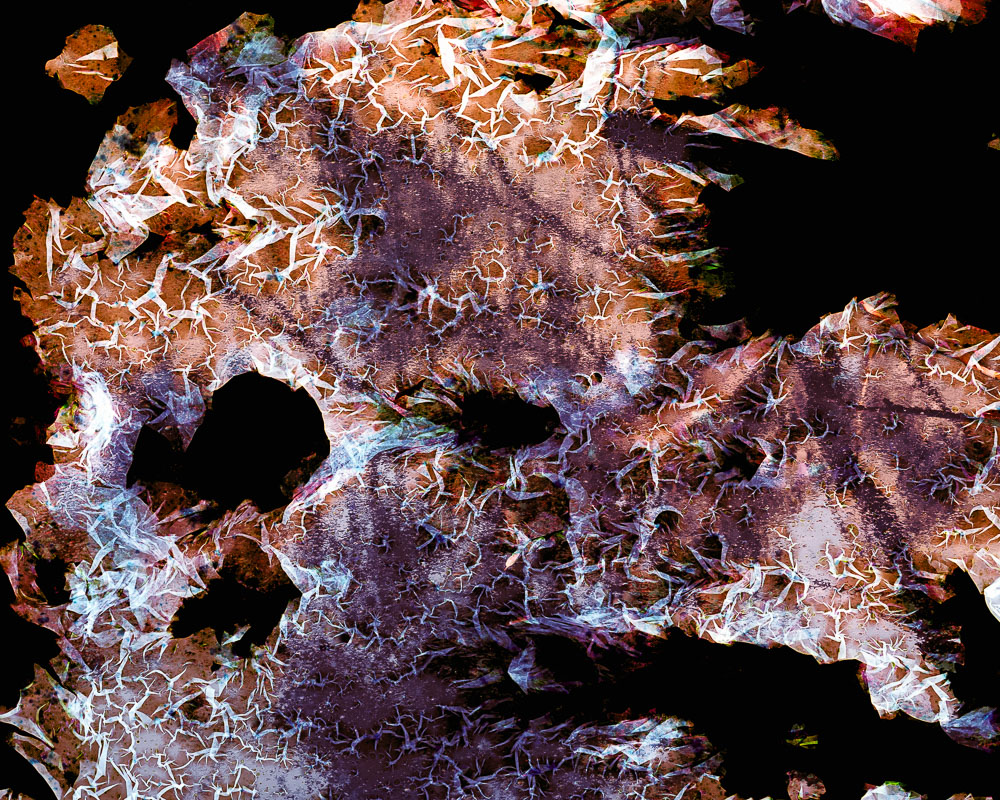 Photographic film degraded by immersion in water