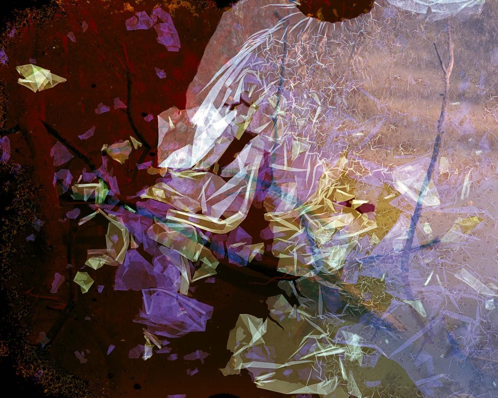 Photographic film degraded by immersion in water